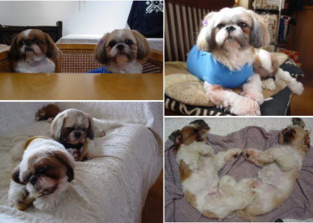 �{���M��