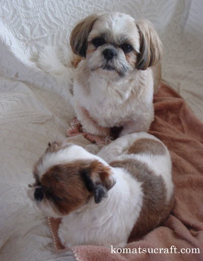 �T�}�[�J�b�g�̌�����