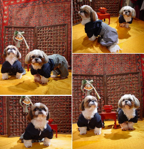 初市DM撮影風景