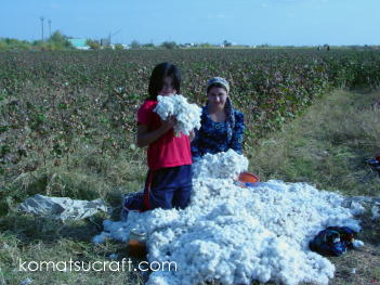 �E�Y�x�L�X�^���̖ȉ�