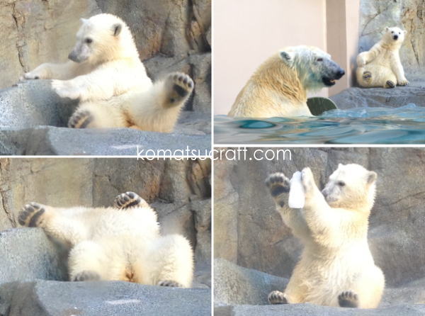 2013年7月の表紙