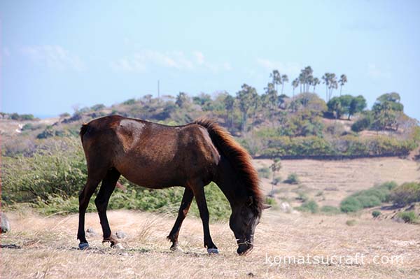 2014年1月の表紙