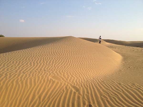 2014年10月の表紙