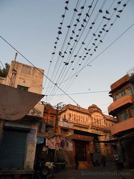 2014年2月の表紙