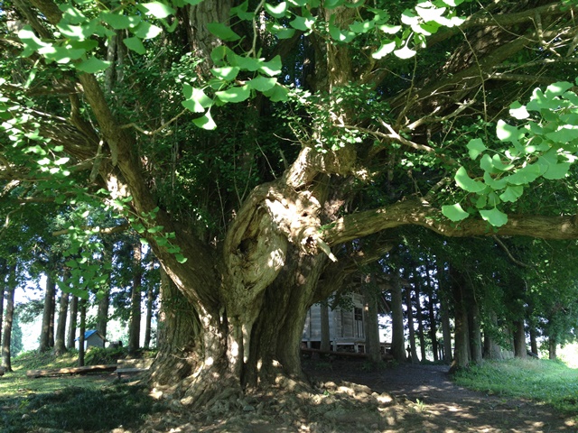 2014年4月の表紙