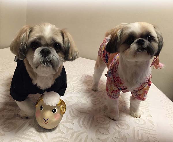 2015年1月の表紙