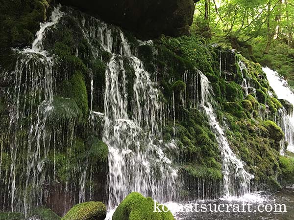 2014年8月の表紙