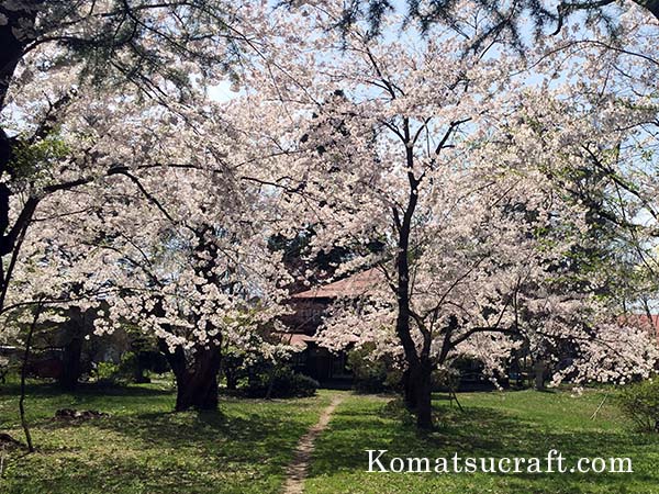 2016年5月の表紙