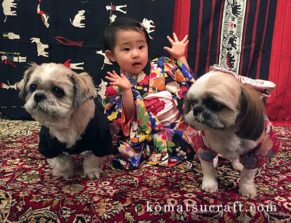 2017�N1���̕\��