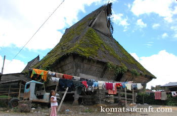 �o�^�b�N���̑�